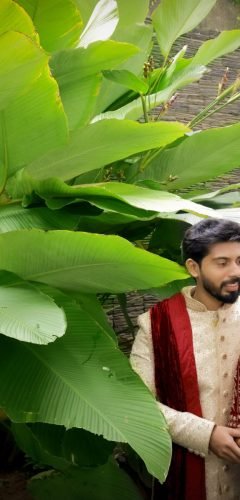 P4A1378-copy-1-scaled